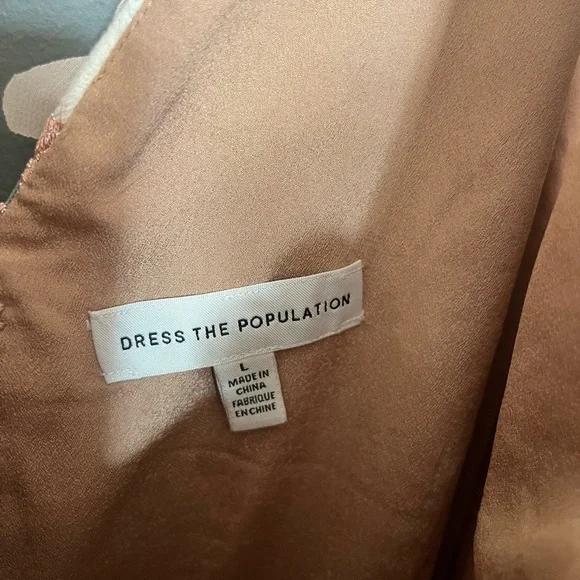 Dress The Population Elisa Floral
Appliqué Dress large - Picture 4 of 5